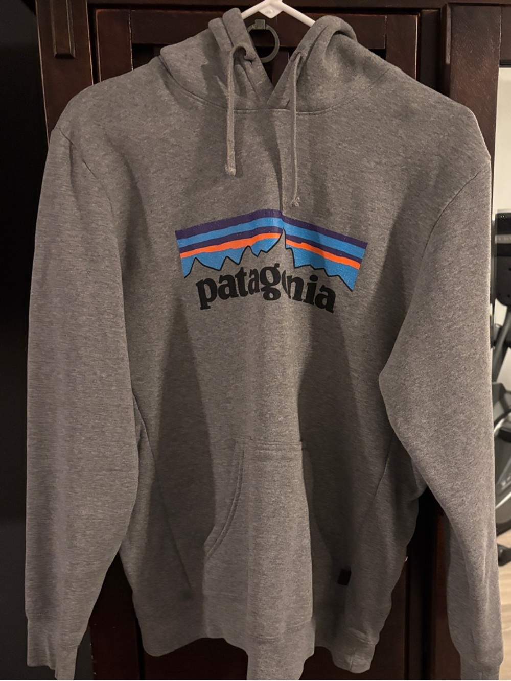 Patagonia Gray Pullover Hoodie with Blue and Orange Mountain Stripe